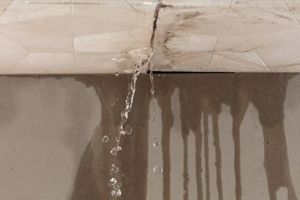 Professional Structural Drying technician working in Manitou Beach, MI